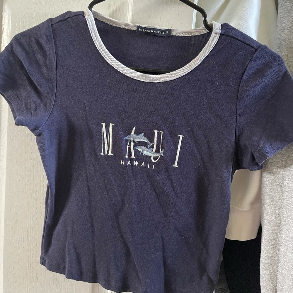 Never worn Brandt Melville top